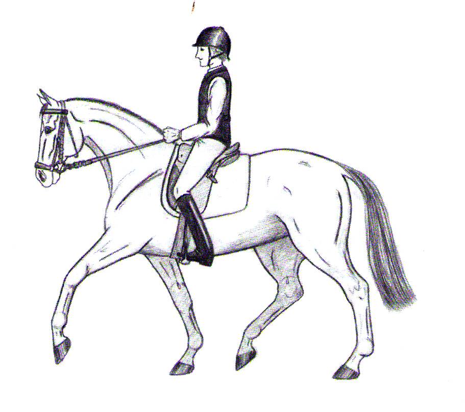 Koolisõidu põhialused ja määrustik 3.tasemele_1805