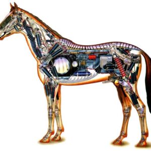 Veterinaaria e-koolitus